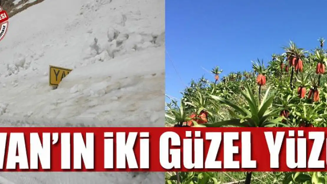 Van'ın iki güzel yüzü 