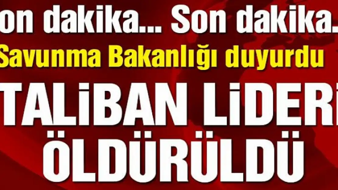 Savunma Bakanlığı duyurdu… Taliban lideri öldürüldü!