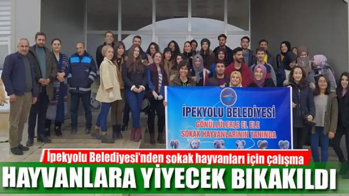 HAYVANLARA YİYECEK BIKAKILDI