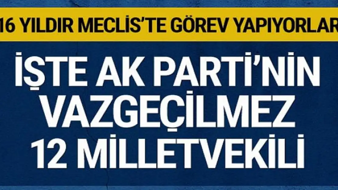 İşte AK Parti'nin vazgeçmediği 12 milletvekili! Her dönem Meclis'teler