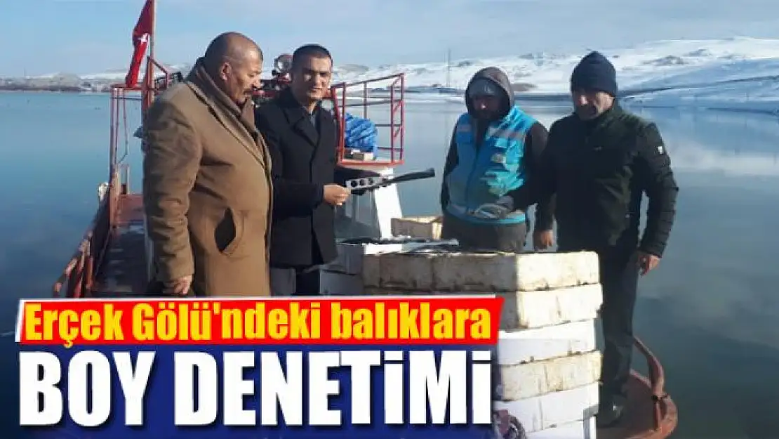 Erçek Gölü'ndeki balıklara boy denetimi