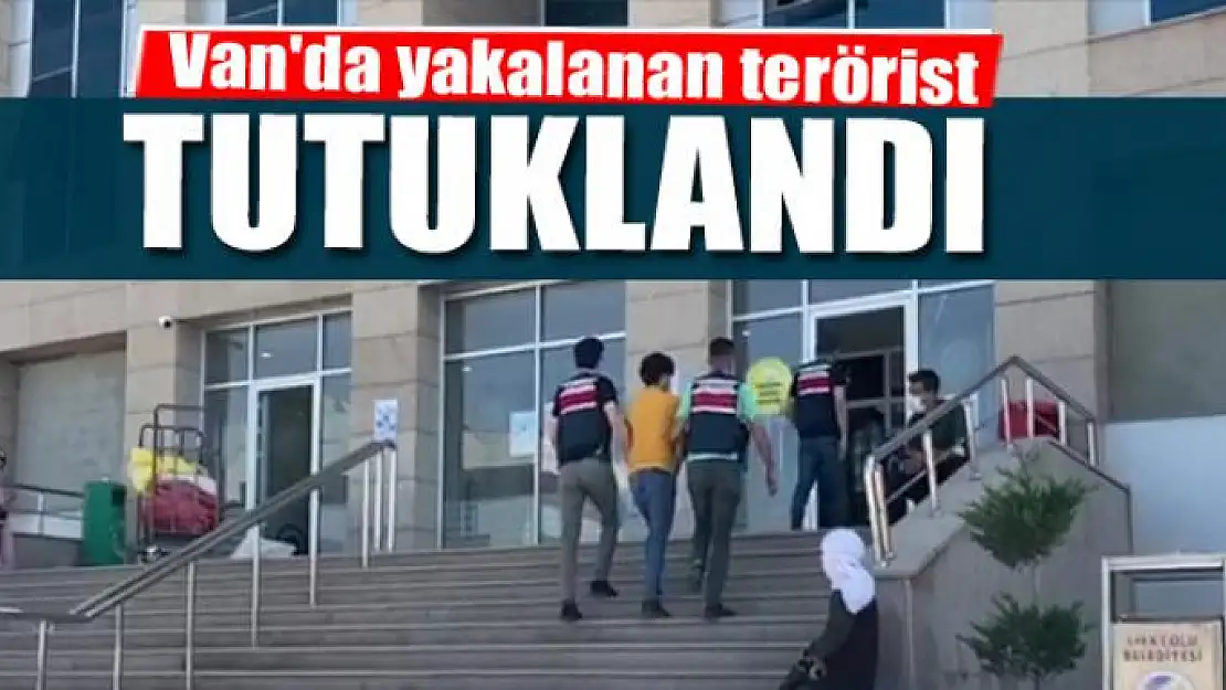 Van'da yakalanan terörist tutuklandı