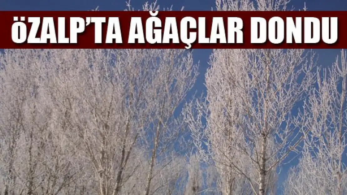 Özalp'ta ağaçlar dondu