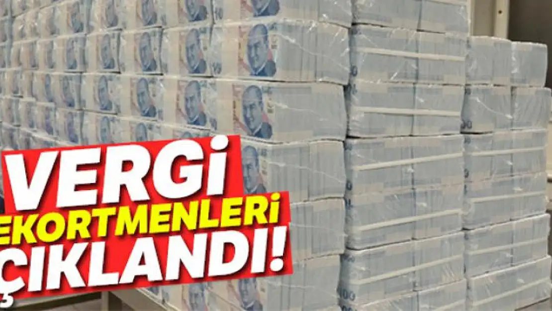 Türkiye'nin vergi rekortmenleri açıklandı