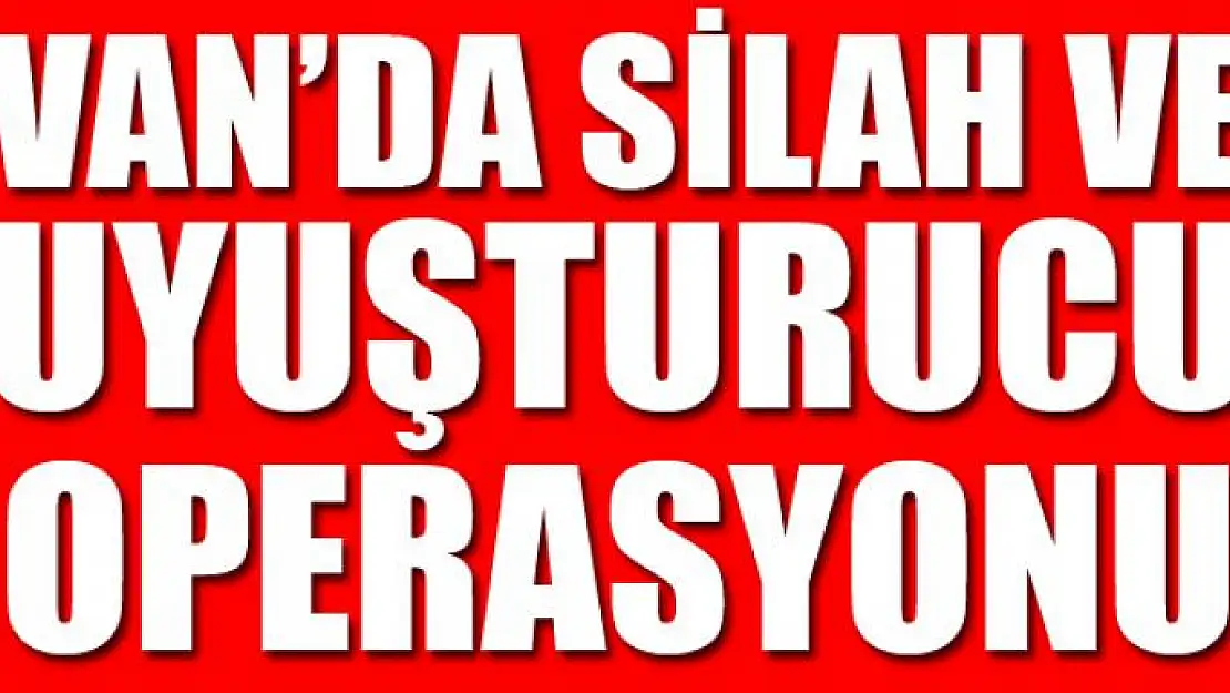 Van'da silah ve uyuşturucu operasyonu