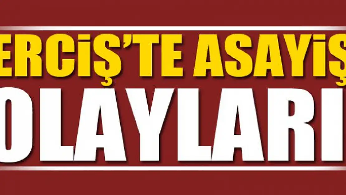 Erciş'te asayiş olayları 