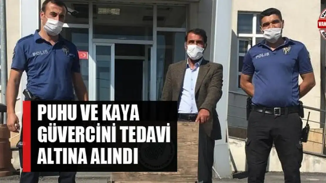 Puhu ve Kaya Güvercini tedavi altına alındı