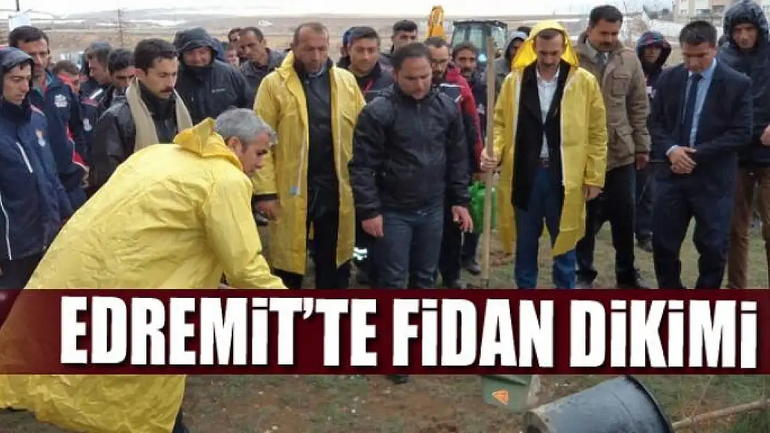 Edremit'te fidan dikimi