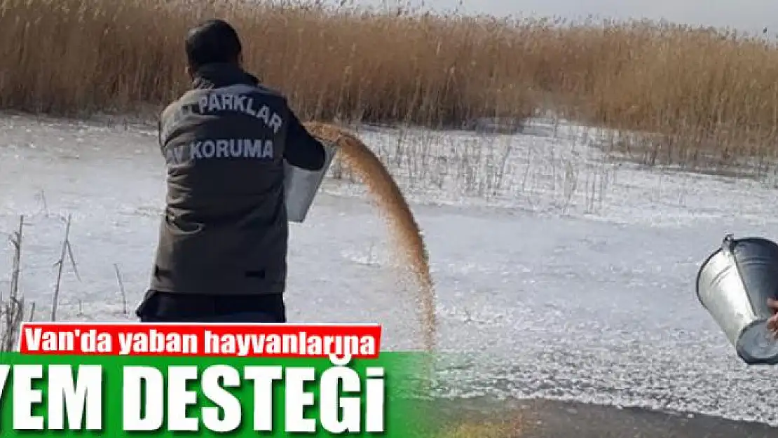 Van'da yaban hayvanlarına yem desteği