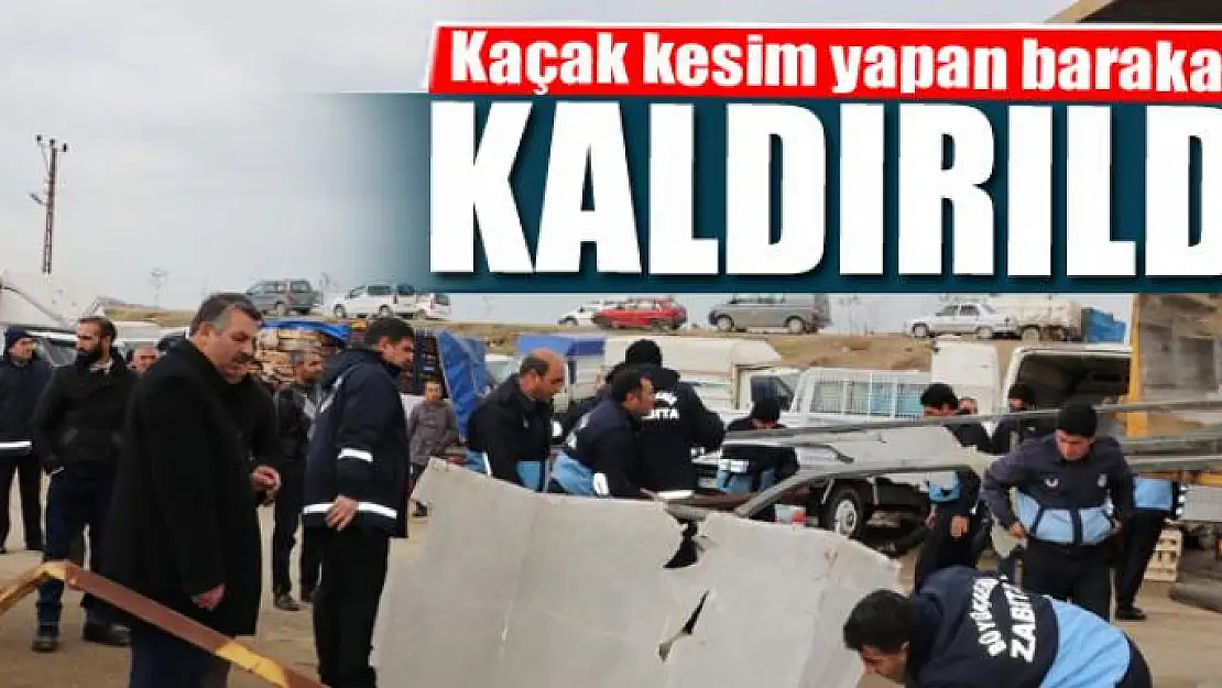 Kaçak kesim yapan barakalar kaldırıldı