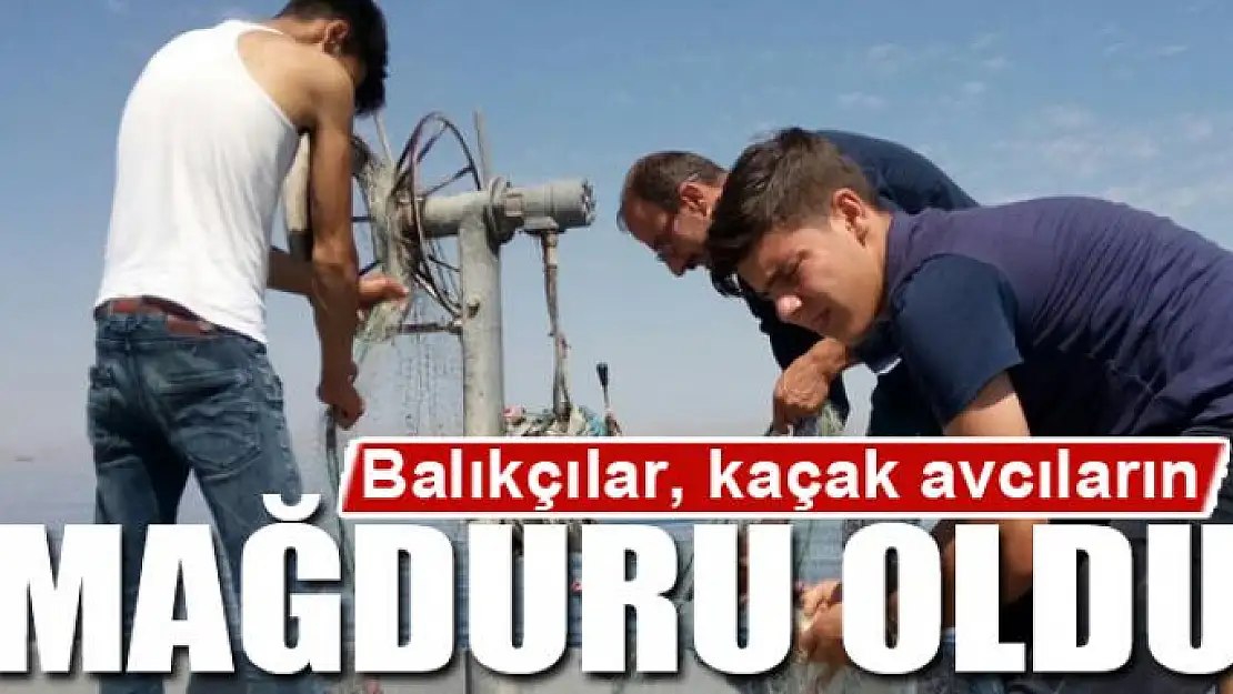 Balıkçılar, kaçak avcıların mağduru oldu