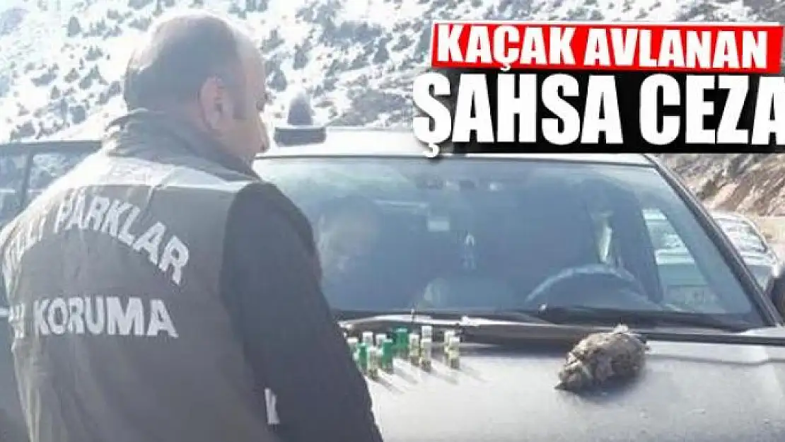 Kaçak avlanan şahsa ceza 