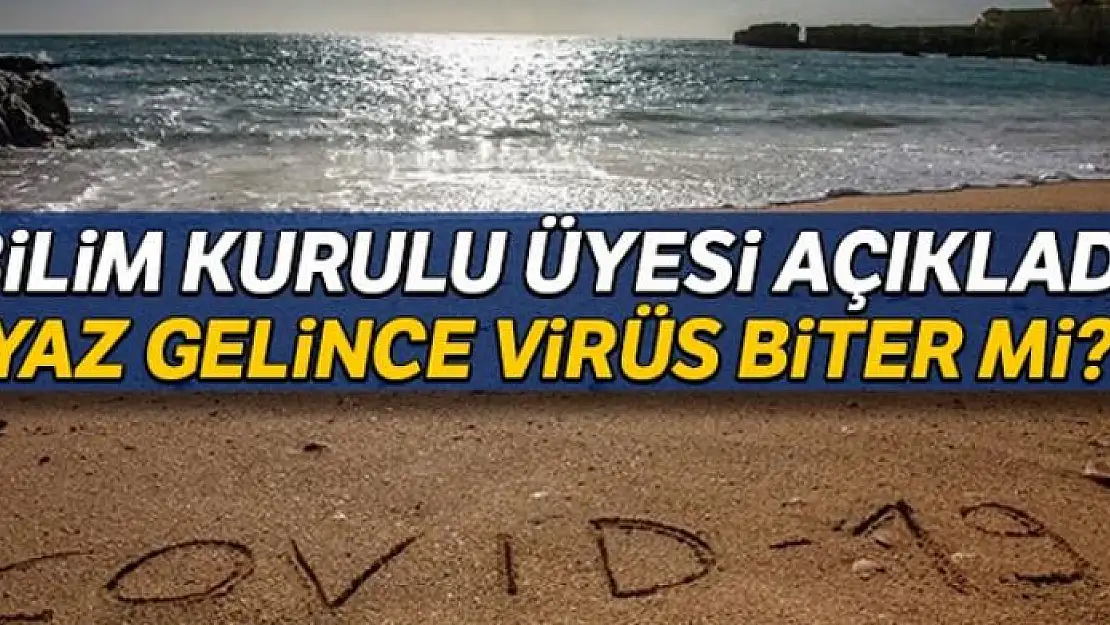 Yaz gelince virüs biter mi? Bilim Kurulu üyesi açıkladı