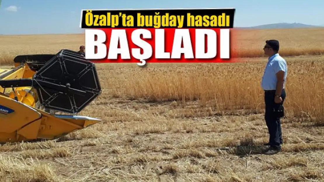 Özalp'ta buğday hasadına başlandı