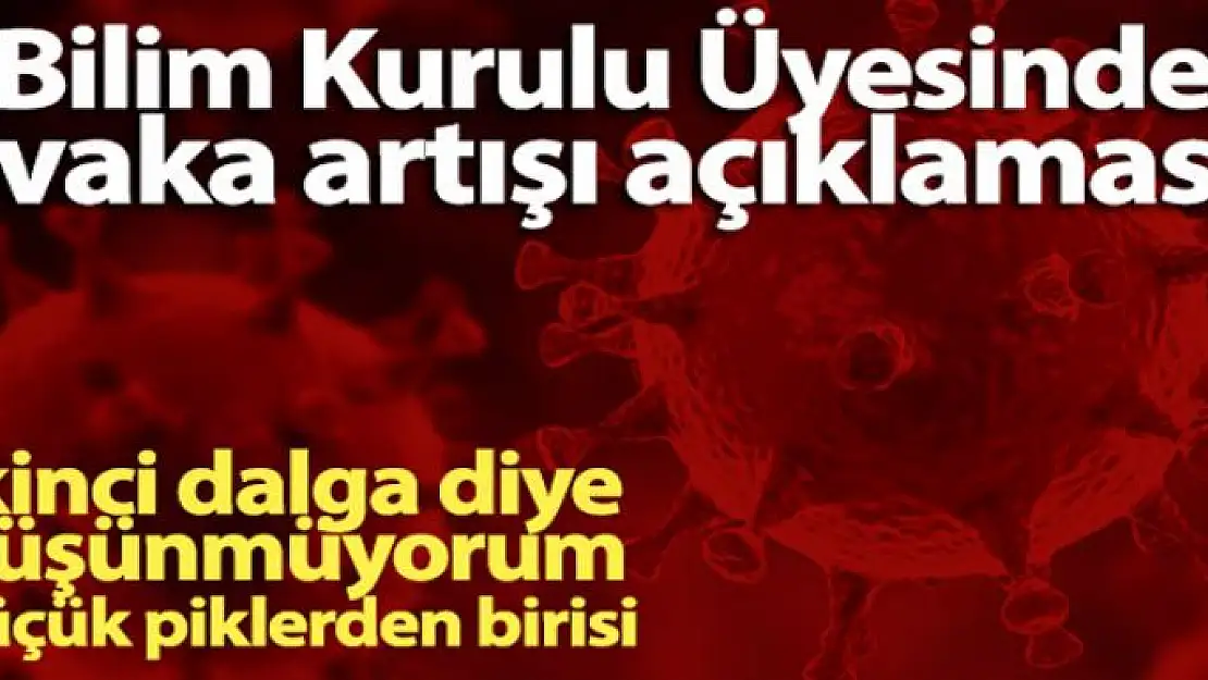 Bilim Kurulu Üyesi Prof. Dr. Çelik, vaka artışını değerlendirdi: 'Küçük piklerden biri'