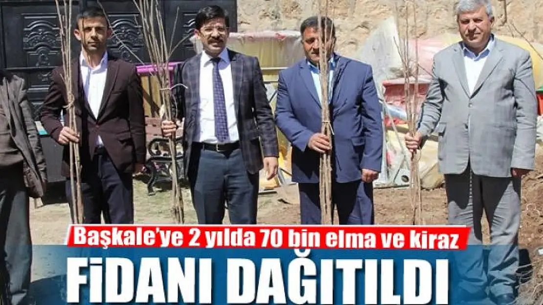 Başkale'ye 2 yılda 70 bin elma ve kiraz fidanı dağıtıldı 