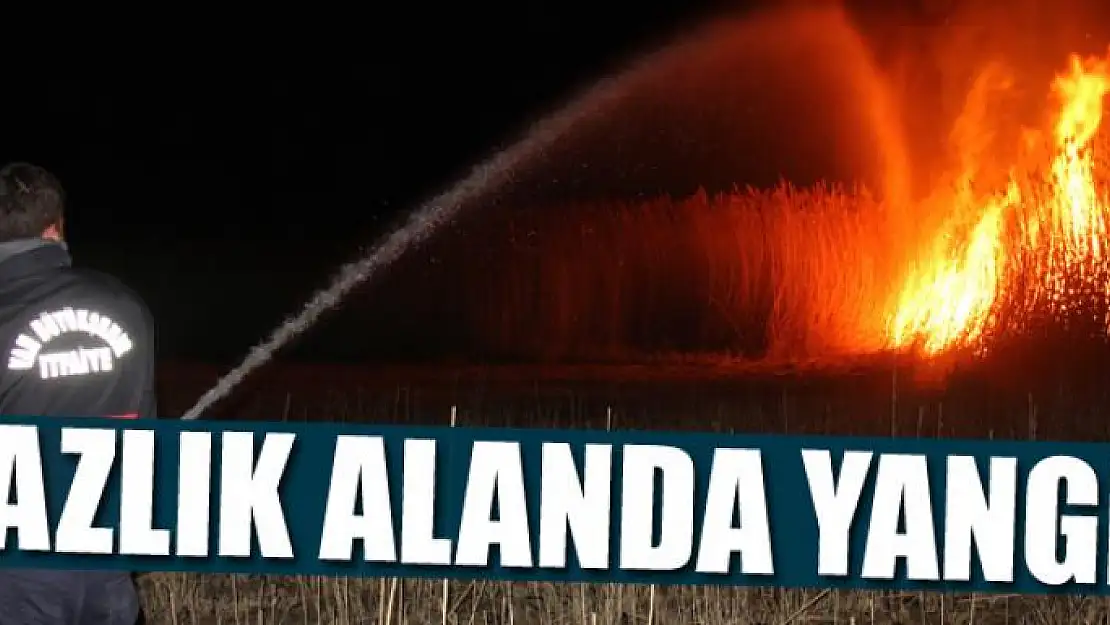 Sazlık alanda yangın