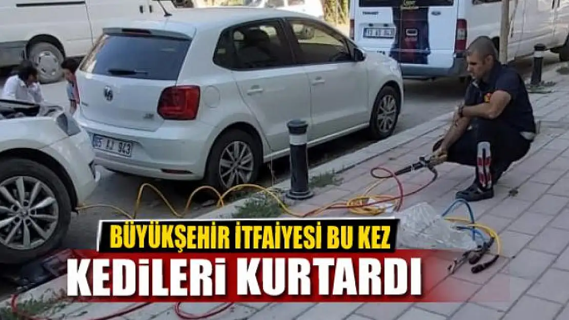 BÜYÜKŞEHİR İTFAİYESİ BU KEZ KEDİLERİ KURTARDI