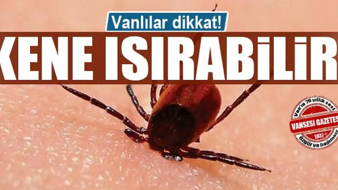 Sıcak havalarda kene ısırmalarına dikkat