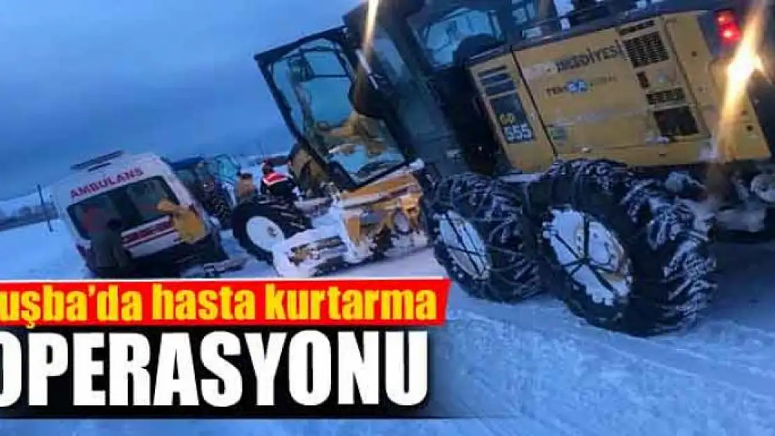 Tuşba'da hasta kurtarma operasyonu