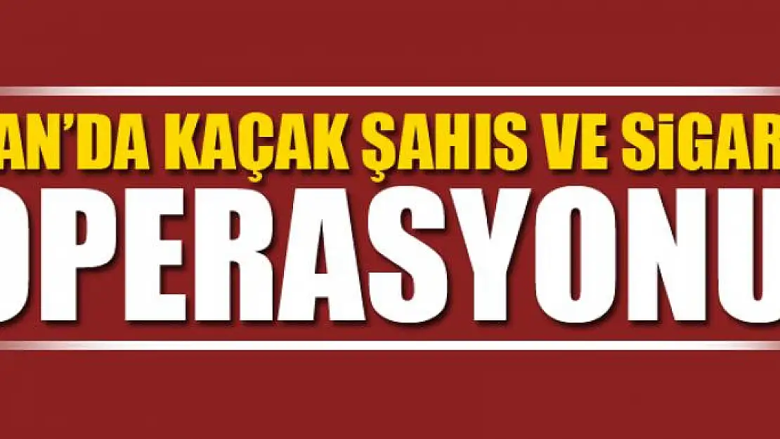 Van'da kaçak şahıs ve sigara operasyonu 