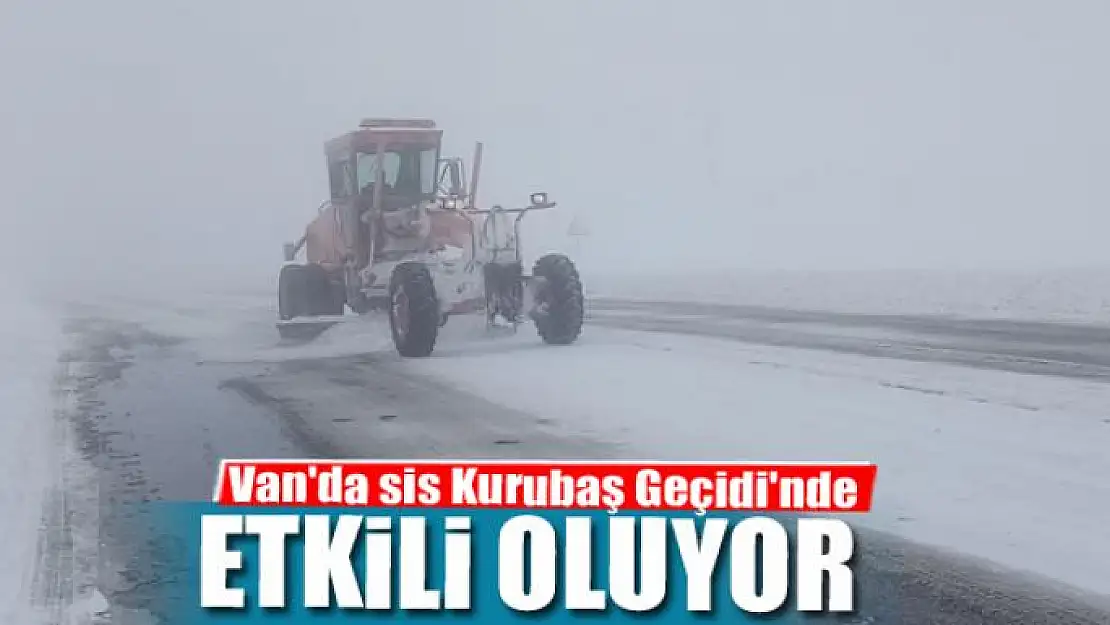 Van'da sis Kurubaş Geçidi'nde etkili oluyor