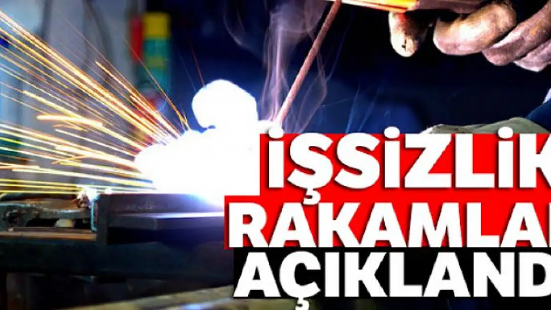 İşsizlik rakamları açıklandı