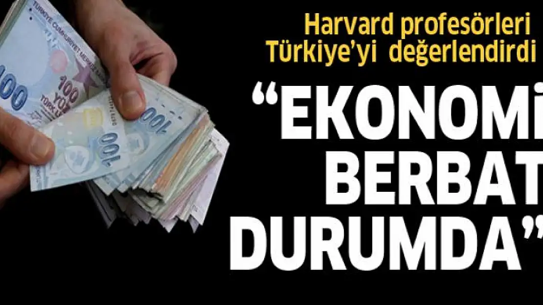 Harvard profesörleri: ''Türkiye berbat durumda!''