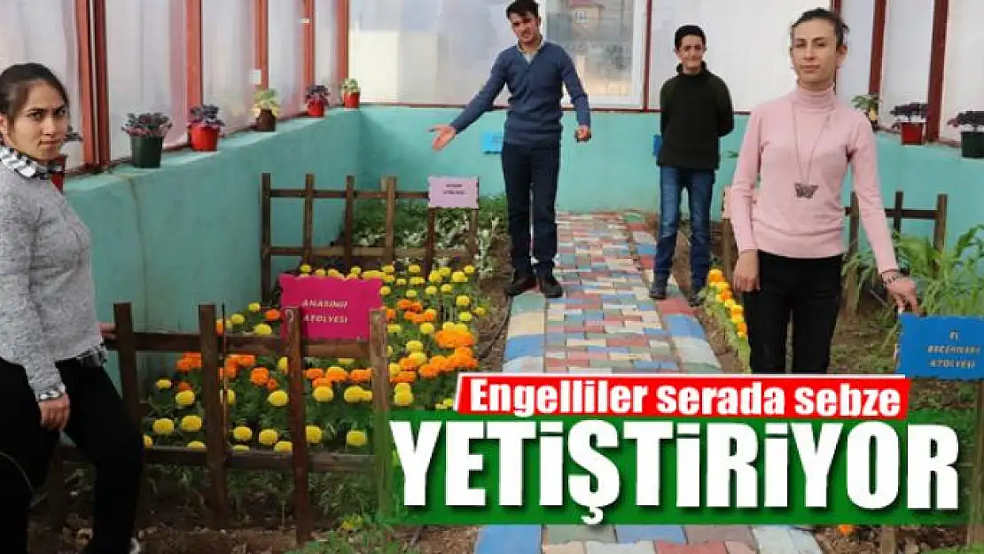 Engelliler serada sebze yetiştiriyor