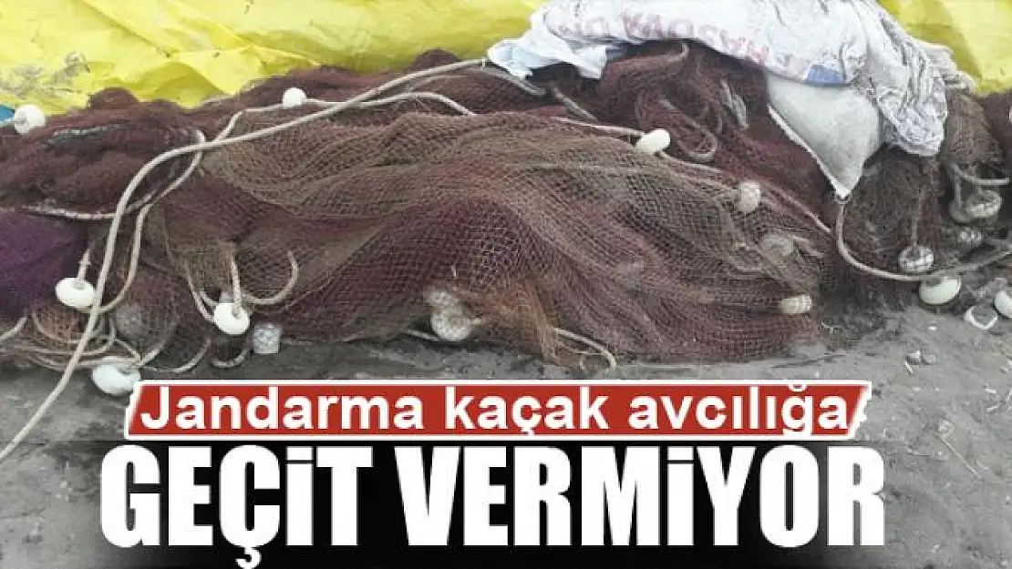 Jandarma kaçak avcılığa geçit vermiyor 