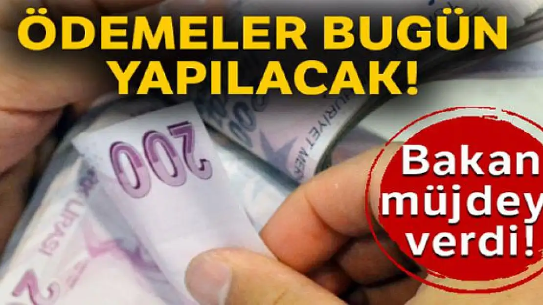 Bakan Pakdemirli açıkladı: 331 milyon liralık destek ödemesi bugün başlıyor