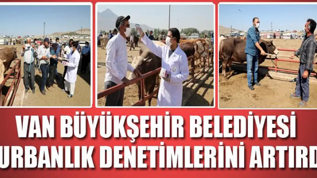 Van Büyükşehir Belediyesi kurbanlık denetimlerini artırdı