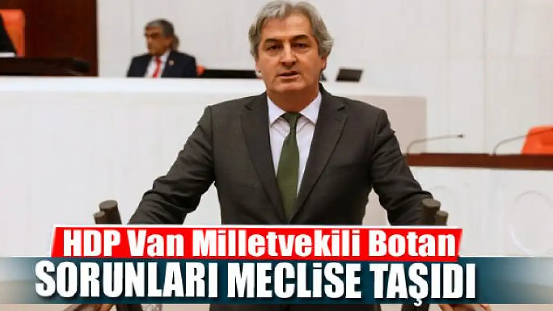 MİLETVEKİLİ BOTAN, VAN'IN SORUNLARINI MECLİSE TAŞIDI