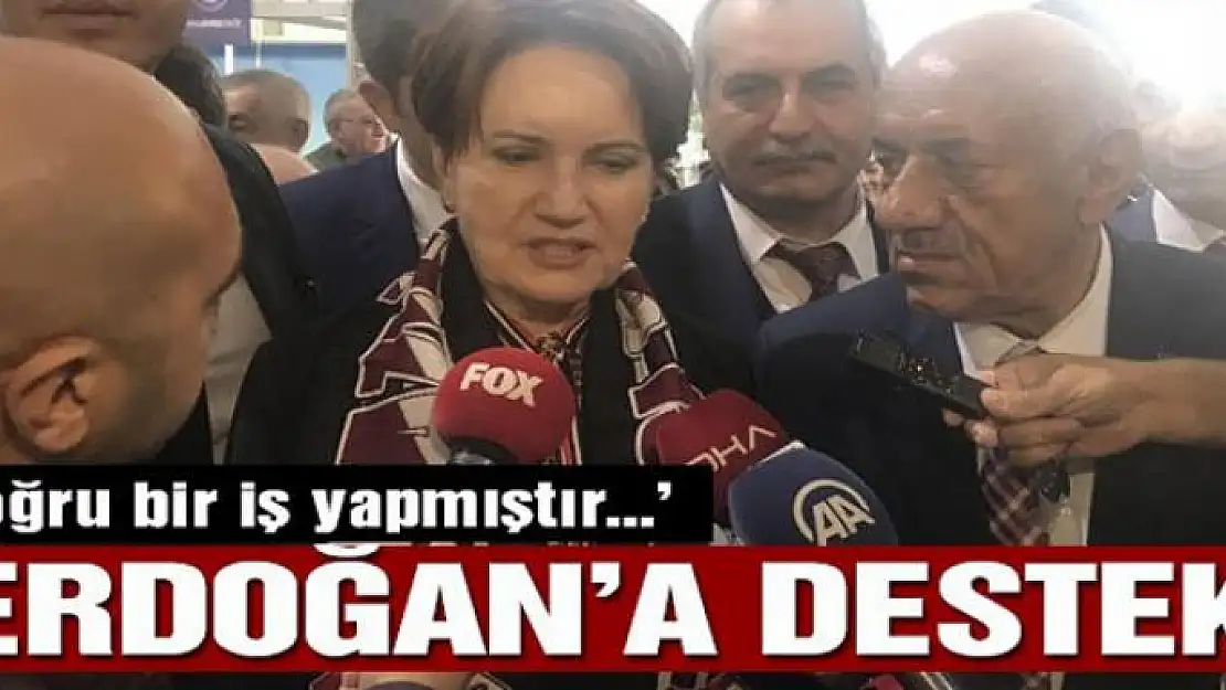 Erdoğan'ın McKinsey kararına Akşener'den destek