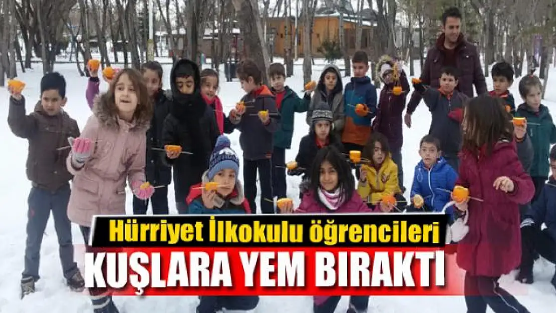 Hürriyet İlkokulu öğrencileri kuşlara yem bıraktı