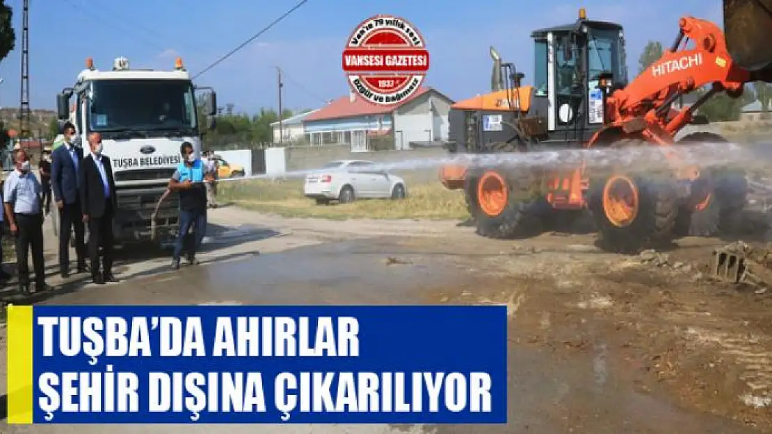 Tuşba'da ahırlar şehir dışına çıkarılıyor