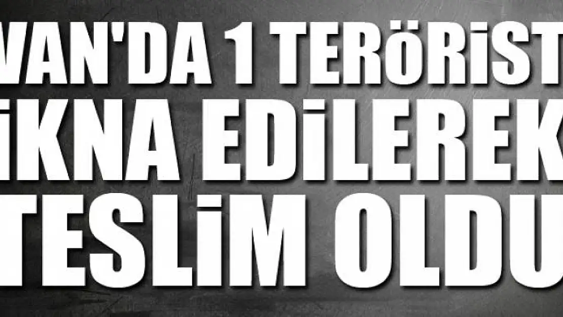 Van'da 1 terörist ikna edilerek teslim oldu