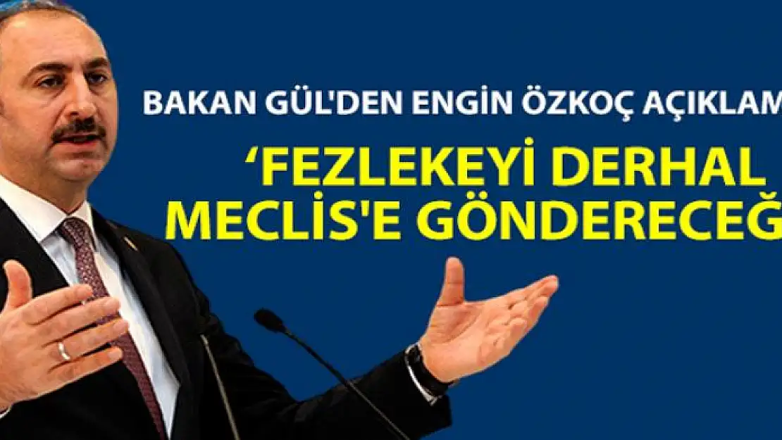 Bakan Gül'den Engin Özkoç açıklaması