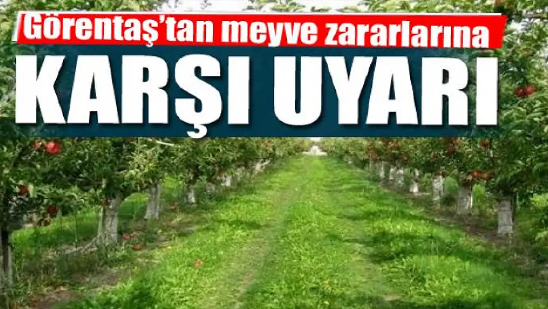 Görentaş'tan meyve zararlarına karşı uyarı