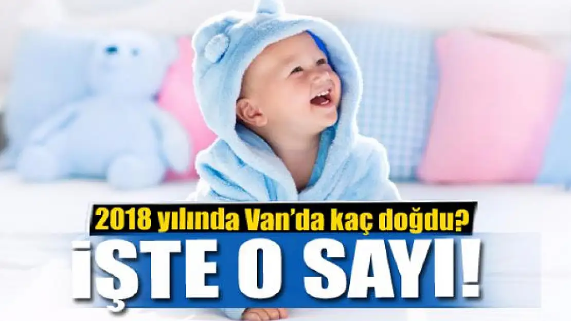 2018 yılında Van'da kaç bebek doğdu?