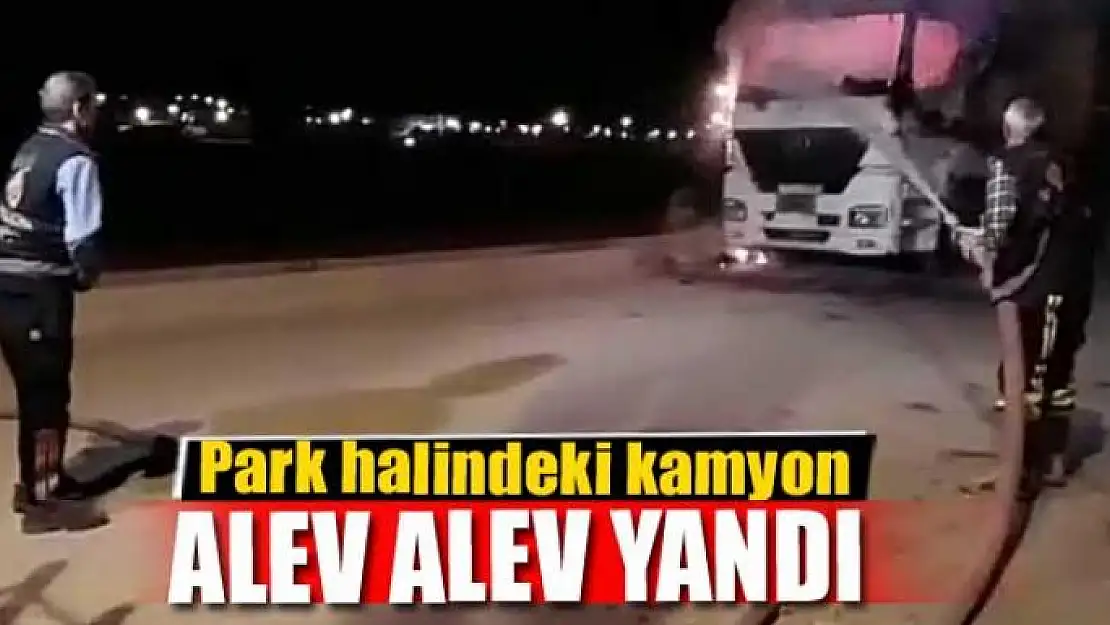 Park halindeki kamyon alev alev yandı