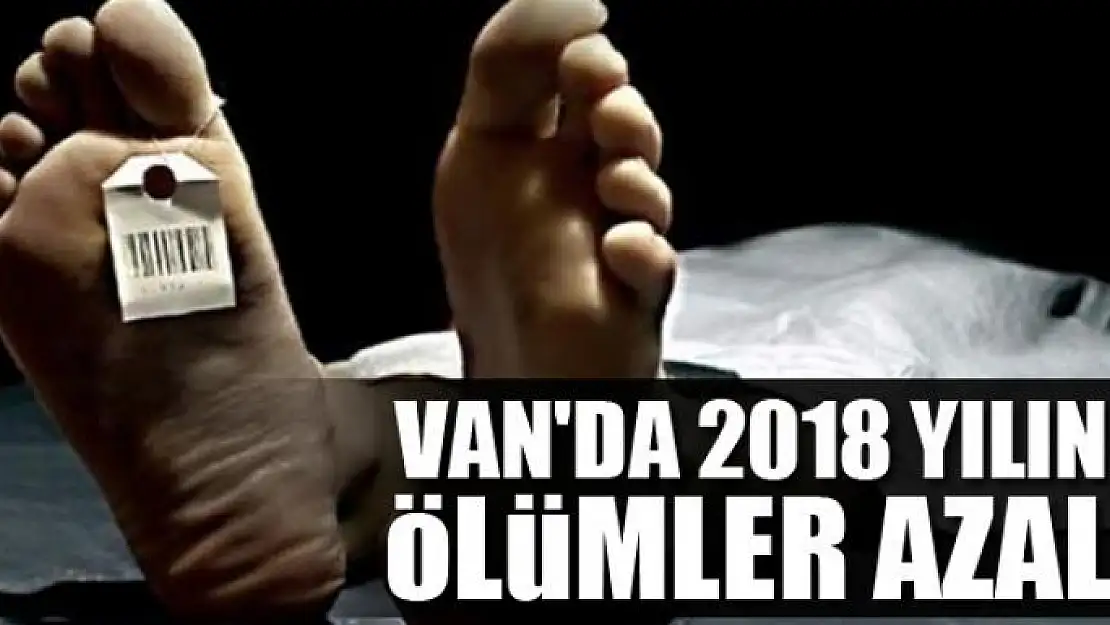 Van'da 2018 yılında ölümler azaldı