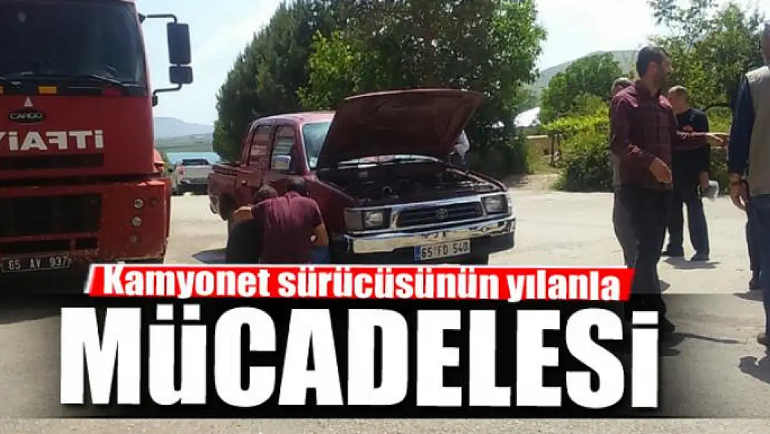 Kamyonet sürücüsünün yılanla mücadelesi