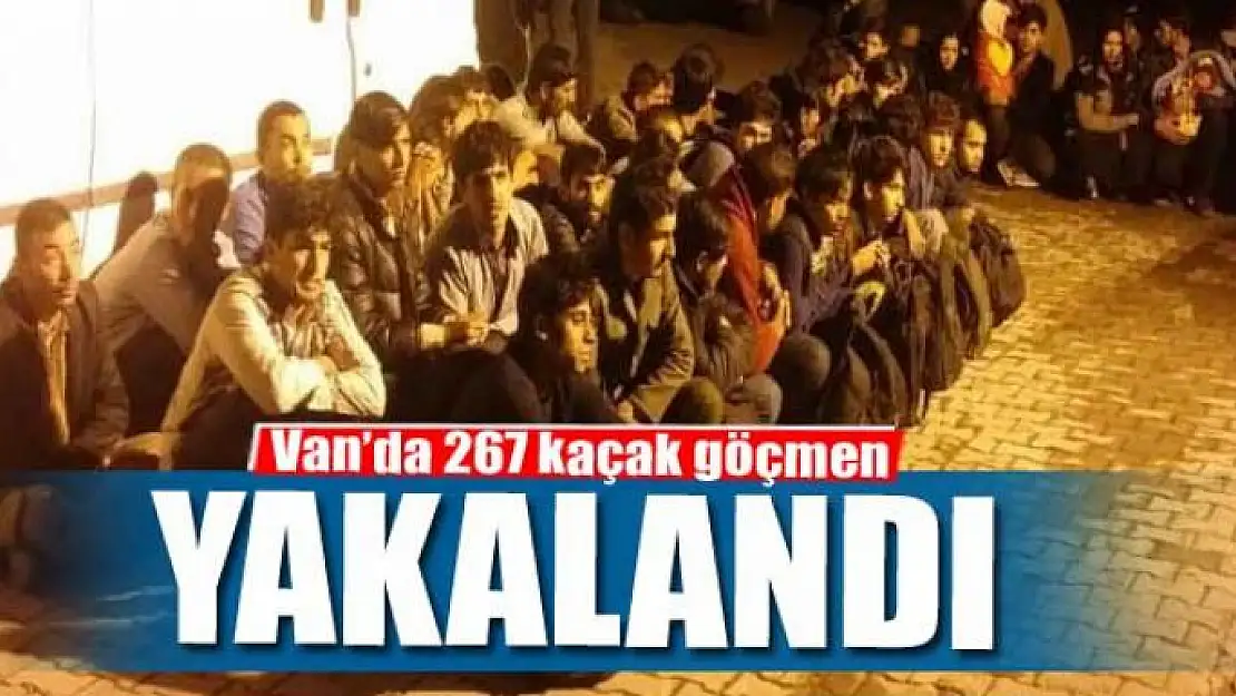 Van'da 267 kaçak göçmen yakalandı