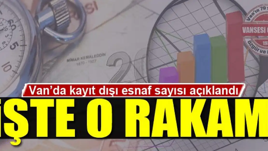 Van'da kayıt dışı esnaf sayısı açıklandı