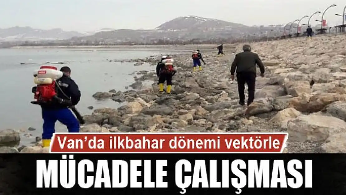 Van'da ilkbahar dönemi vektörle mücadele çalışması