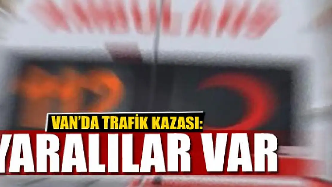 Bahçesaray'da trafik kazası 3 yaralı