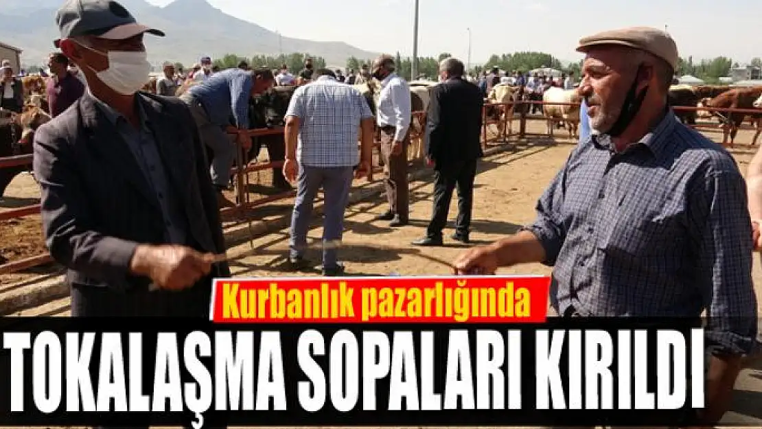 Kurbanlık pazarlığında tokalaşma sopaları kırıldı