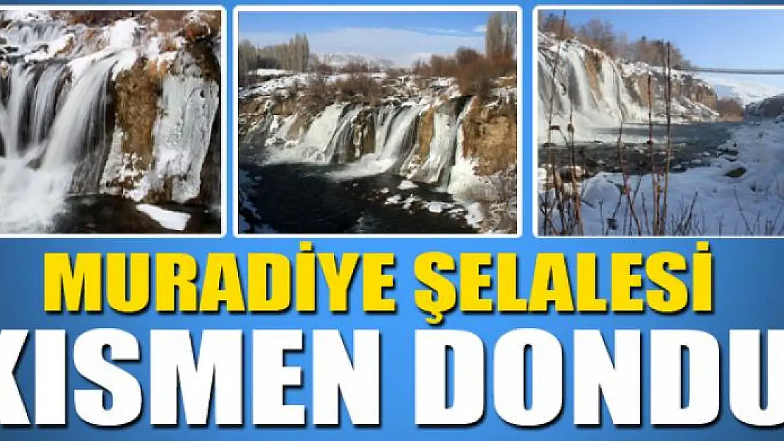 Muradiye Şelalesi kısmen dondu