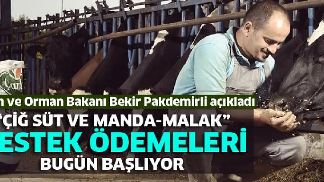 Çiğ süt ve manda-malak destek ödemeleri bugün başlıyor